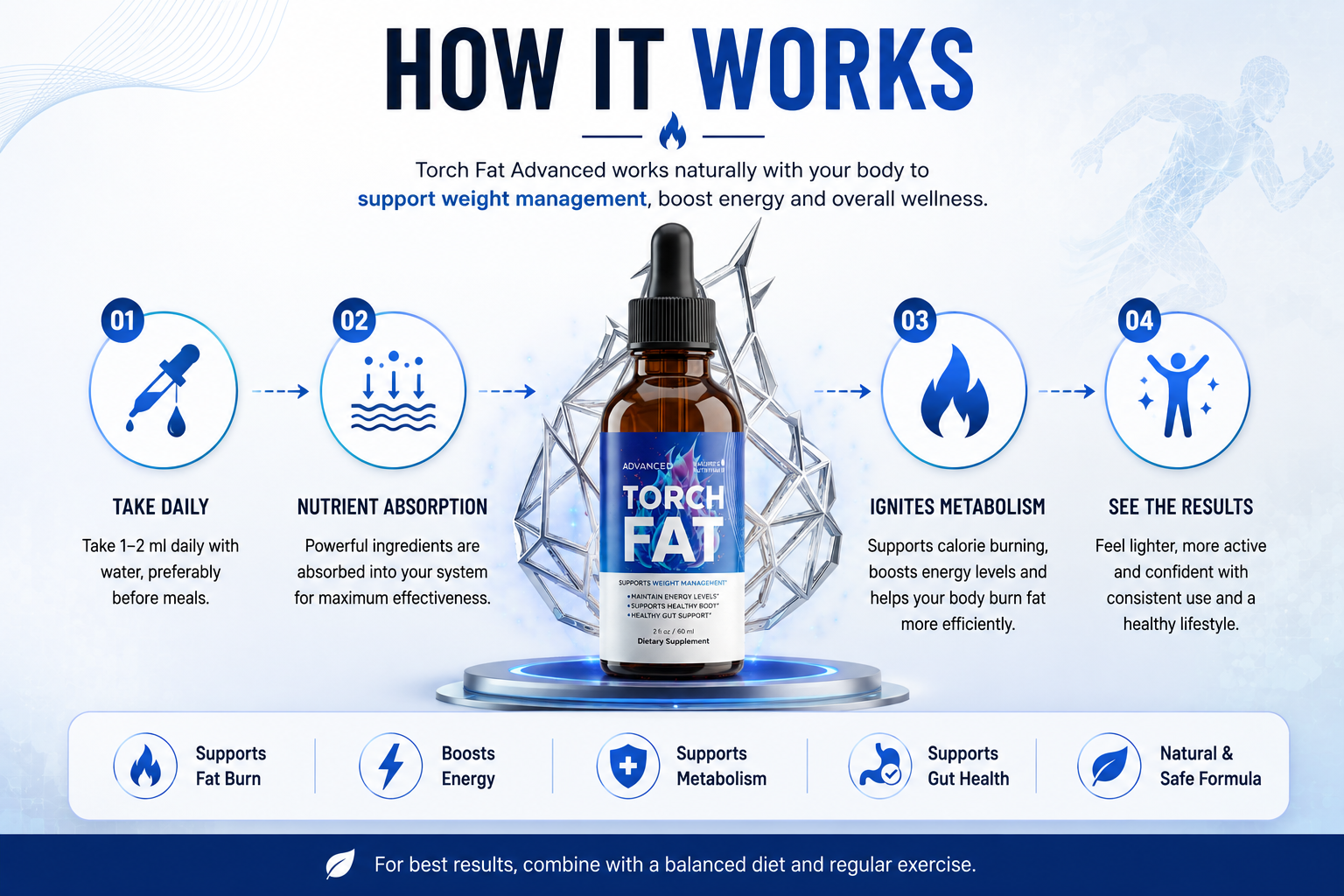 How TorchFat works: take daily, nutrient absorption, ignites metabolism, see the results